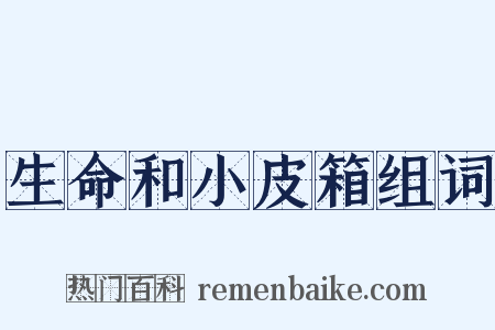 生命和小皮箱组词是什么意思的图片